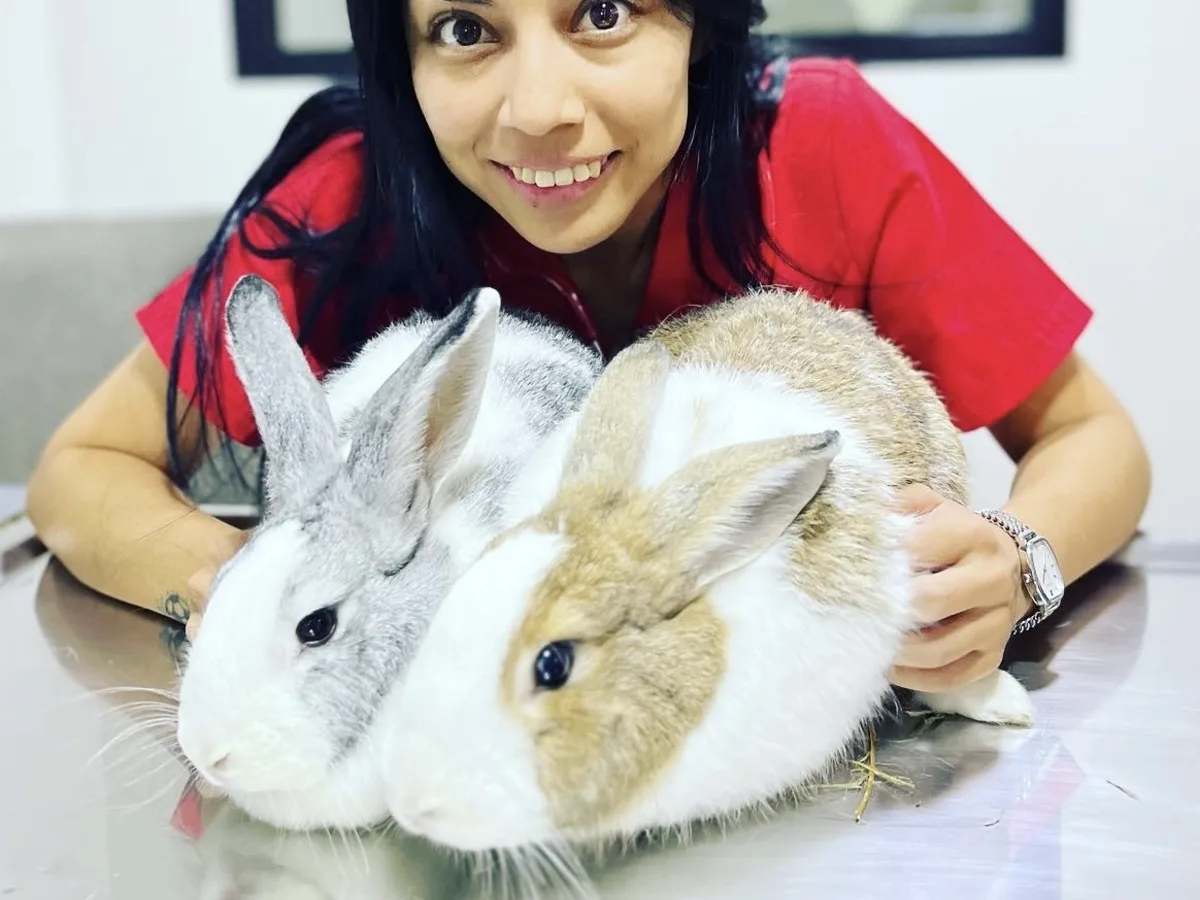 La Dra. Carolina Flores sonriendo junto a dos conejos sobre la mesa de exploración