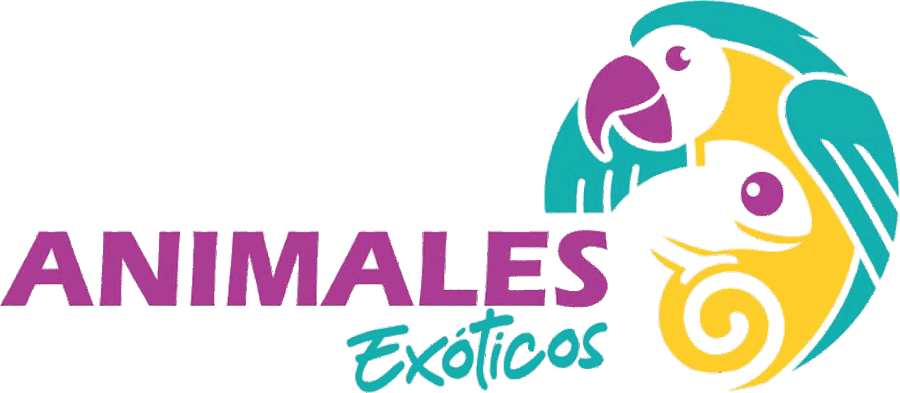Animales Exóticos — Dra. Carolina Flores Juárez